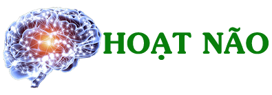 Hoatnao_logo15fafb.png